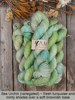 Picture of Yama 75/25 Sock *SOLD OUT*